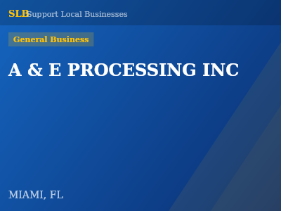 A & E PROCESSING INC — General Business in MIAMI, FL