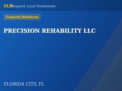 PRECISION REHABILITY LLC — General Business in FLORIDA CITY, FL