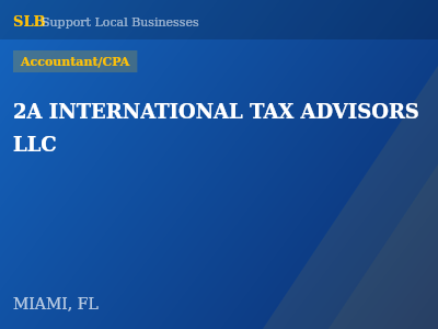2A INTERNATIONAL TAX ADVISORS LLC — Accountant/CPA in MIAMI, FL