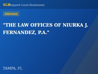 "THE LAW OFFICES OF NIURKA J. FERNANDEZ, P.A." — Attorney in TAMPA, FL