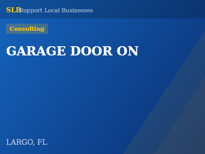 GARAGE DOOR ON — Consulting in LARGO, FL