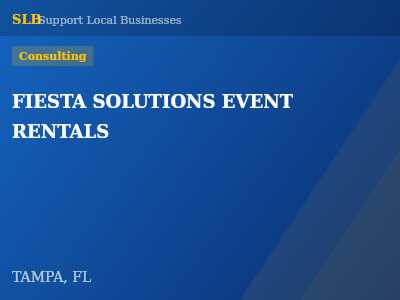 FIESTA SOLUTIONS EVENT RENTALS — Consulting in TAMPA, FL