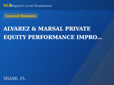 ALVAREZ & MARSAL PRIVATE EQUITY PERFORMANCE IMPROVEMENT GROUP LLC — General Business in MIAMI, FL