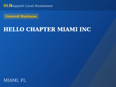 HELLO CHAPTER MIAMI INC — General Business in MIAMI, FL