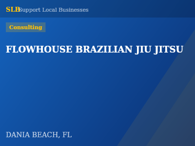 FLOWHOUSE BRAZILIAN JIU JITSU — Consulting in DANIA BEACH, FL