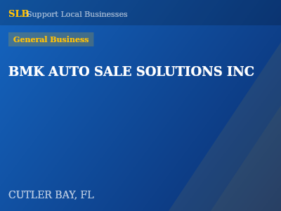 BMK AUTO SALE SOLUTIONS INC — General Business in CUTLER BAY, FL
