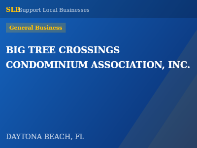 BIG TREE CROSSINGS CONDOMINIUM ASSOCIATION, INC. — General Business in DAYTONA BEACH, FL