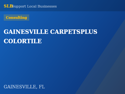 GAINESVILLE CARPETSPLUS COLORTILE — Consulting in GAINESVILLE, FL