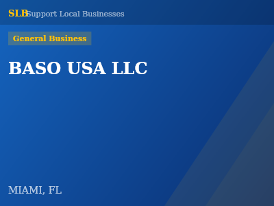 BASO USA LLC — General Business in MIAMI, FL