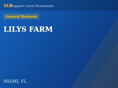 LILYS FARM — General Business in MIAMI, FL