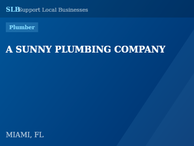 A SUNNY PLUMBING COMPANY — Plumber in MIAMI, FL