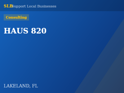 HAUS 820 — Consulting in LAKELAND, FL