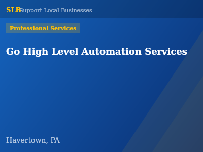Go High Level Automation Services — Professional Services in Havertown, PA