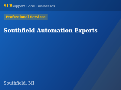 Southfield Automation Experts — Professional Services in Southfield, MI