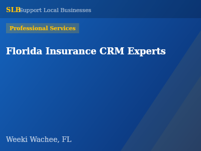 Florida Insurance CRM Experts — Professional Services in Weeki Wachee, FL