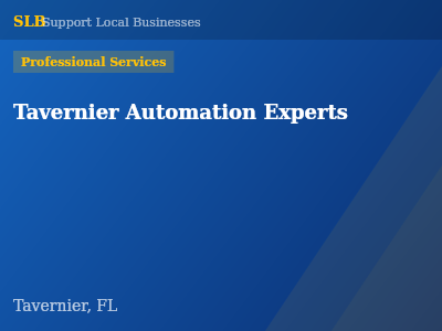 Tavernier Automation Experts — Professional Services in Tavernier, FL