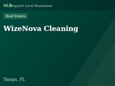 WizeNova Cleaning — Real Estate in Tampa, FL