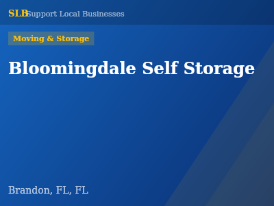 Bloomingdale Self Storage — Moving & Storage in Brandon, FL, FL