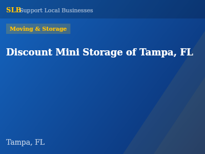 Discount Mini Storage of Tampa, FL — Moving & Storage in Tampa, FL