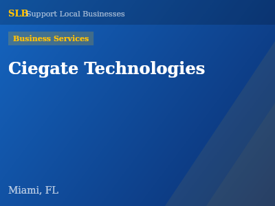 Ciegate Technologies — Business Services in Miami, FL