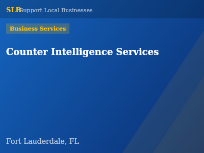 Counter Intelligence Services — Business Services in Fort Lauderdale, FL