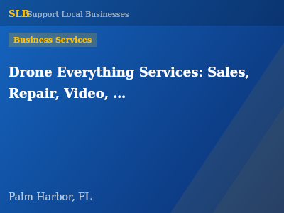 Drone Everything Services: Sales, Repair, Video, Photo, Inspections, Diagnostics, Training, Safety, Part 107 Prep — Business Services in Palm Harbor, FL