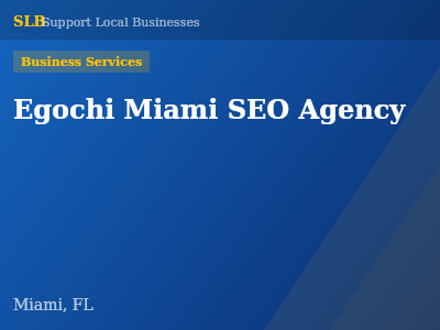 Egochi Miami SEO Agency — Business Services in Miami, FL
