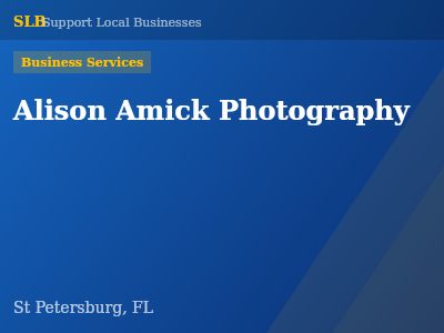 Alison Amick Photography — Business Services in St Petersburg, FL