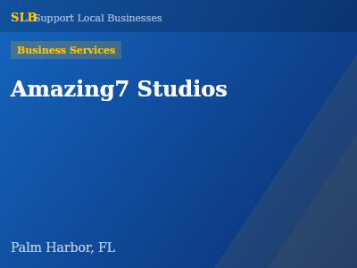 Amazing7 Studios — Business Services in Palm Harbor, FL