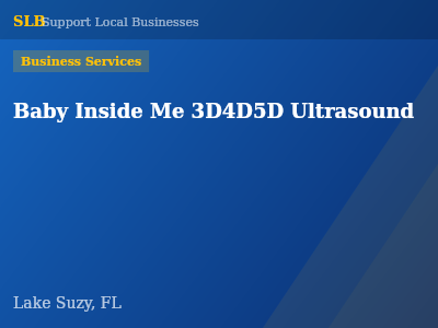 Baby Inside Me 3D4D5D Ultrasound — Business Services in Lake Suzy, FL