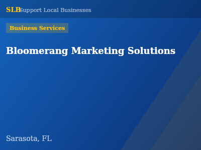 Bloomerang Marketing Solutions — Business Services in Sarasota, FL