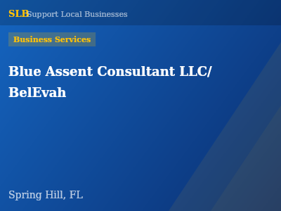 Blue Assent Consultant LLC/ BelEvah — Business Services in Spring Hill, FL