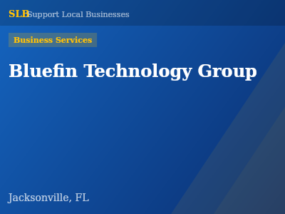 Bluefin Technology Group — Business Services in Jacksonville, FL
