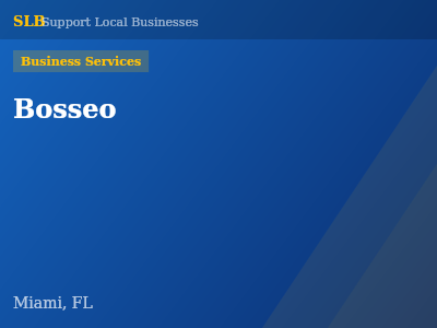 Bosseo — Business Services in Miami, FL