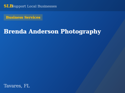 Brenda Anderson Photography — Business Services in Tavares, FL