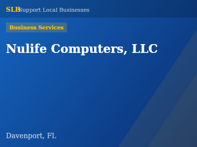 Nulife Computers, LLC — Business Services in Davenport, FL