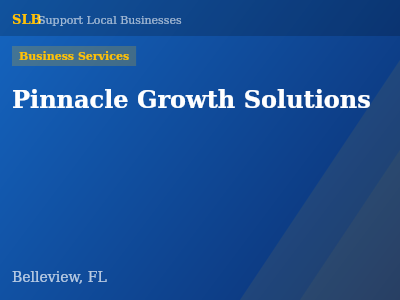 Pinnacle Growth Solutions — Business Services in Belleview, FL
