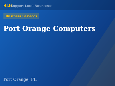 Port Orange Computers — Business Services in Port Orange, FL