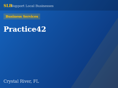 Practice42 — Business Services in Crystal River, FL