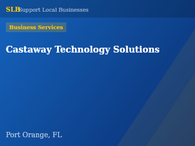 Castaway Technology Solutions — Business Services in Port Orange, FL
