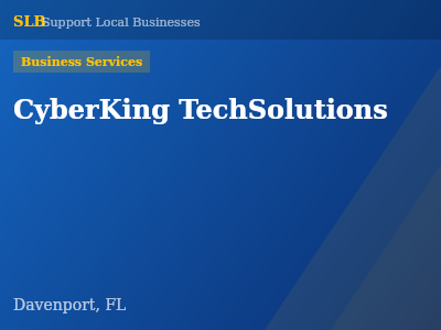 CyberKing TechSolutions — Business Services in Davenport, FL