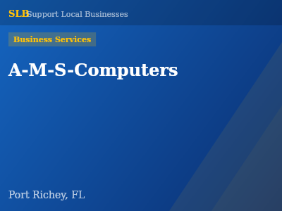 A-M-S-Computers — Business Services in Port Richey, FL