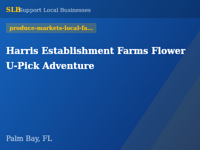 Harris Establishment Farms Flower U-Pick Adventure — produce-markets-local-farms in Palm Bay, FL