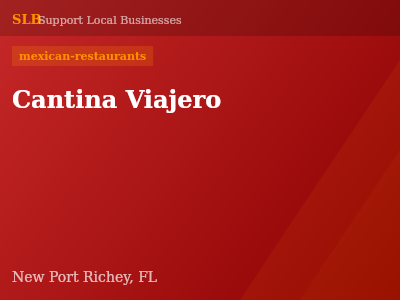 Cantina Viajero — mexican-restaurants in New Port Richey, FL