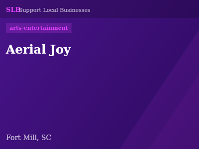 Aerial Joy — arts-entertainment in Fort Mill, SC