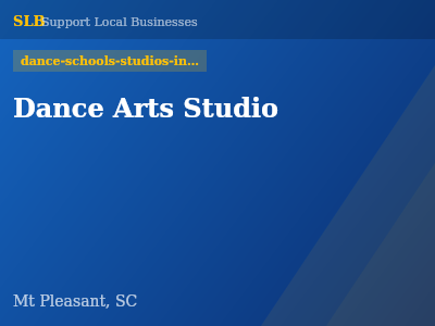 Dance Arts Studio — dance-schools-studios-instructors in Mt Pleasant, SC