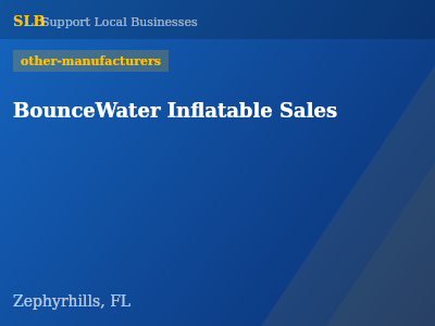BounceWater Inflatable Sales — other-manufacturers in Zephyrhills, FL