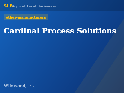 Cardinal Process Solutions — other-manufacturers in Wildwood, FL