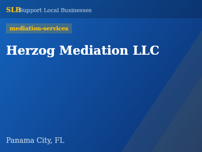 Herzog Mediation LLC — mediation-services in Panama City, FL