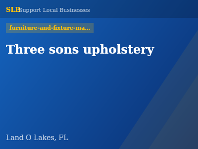Three sons upholstery — furniture-and-fixture-manufacturers in Land O Lakes, FL